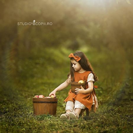 Craita Merelor The Place Aninosani Ngoại thất bức ảnh