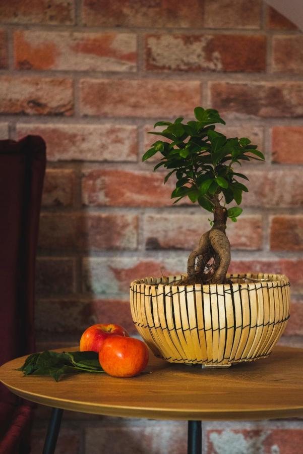 Craita Merelor The Place Aninosani Ngoại thất bức ảnh